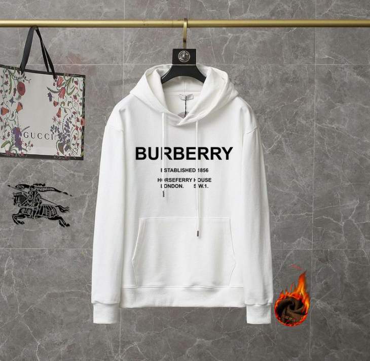 Picture of Burberry Hoodies _SKUBurberryM-3XL25tr1001721